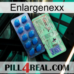 Enlargenexx new02